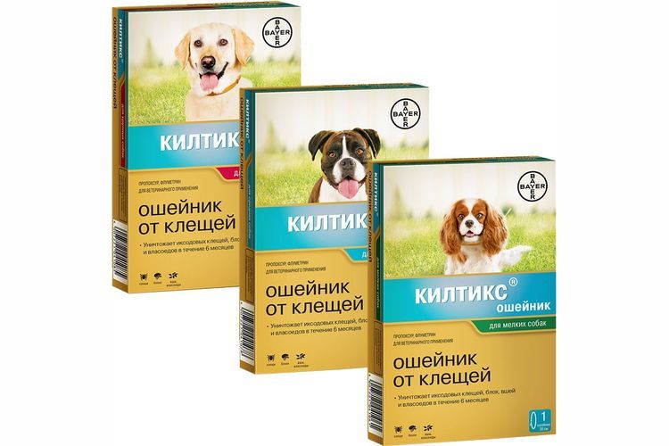 Kiltix: Zeckenhalsband für Hunde
