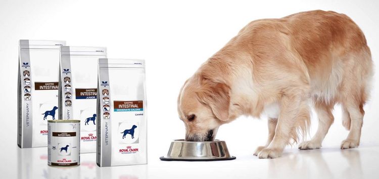 Royal Canin Gastro Intestinal