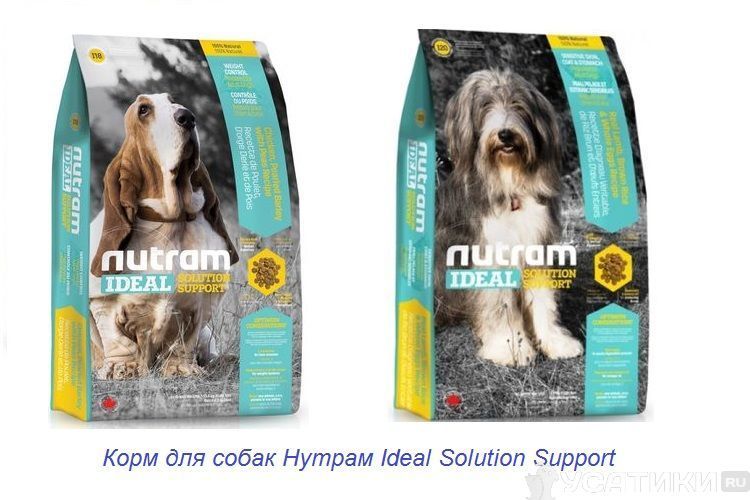Pienso para perros Nutram