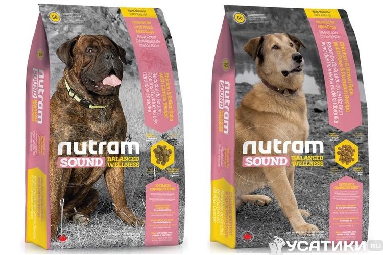 Pienso para perros Nutram