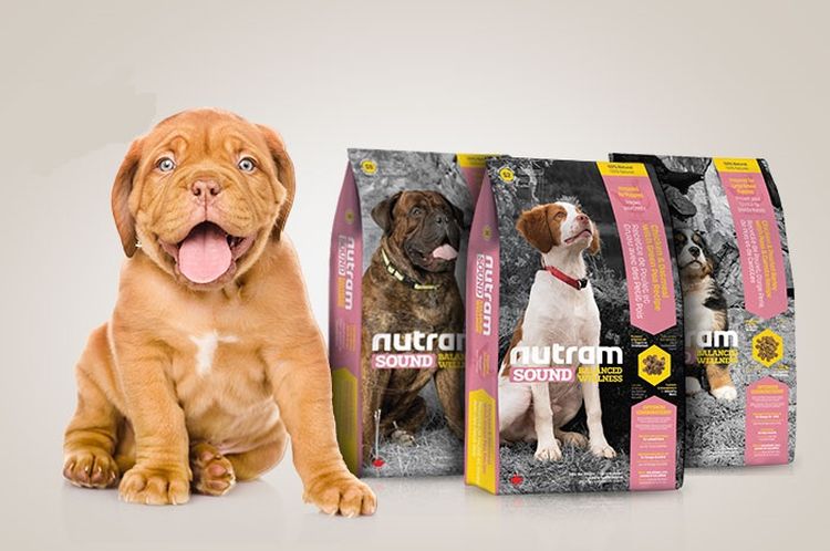Pienso para perros Nutram