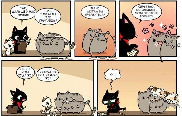 Gato Pusheen