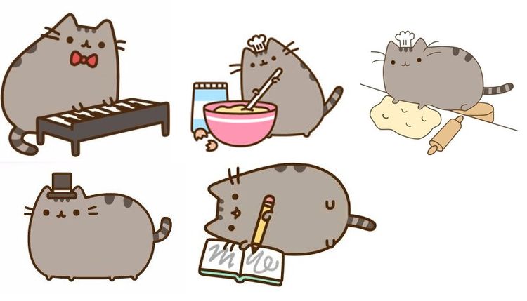 Gato Pushin: imágenes