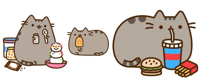 Gato Pushin: imágenes