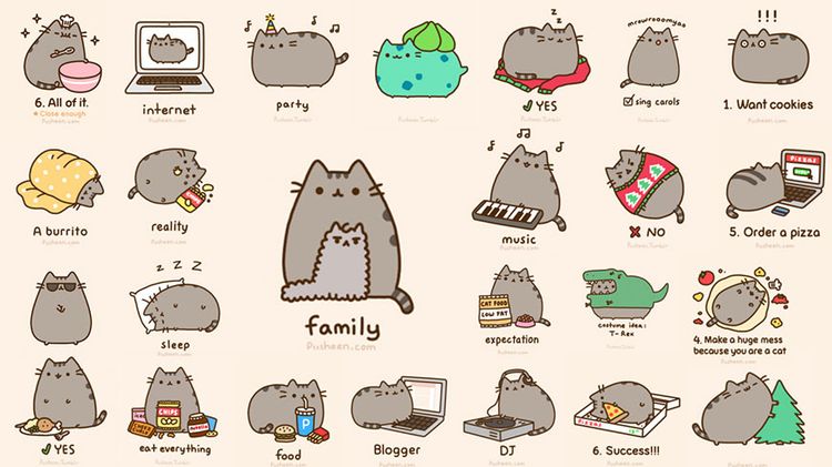 Gato Pushin: imágenes
