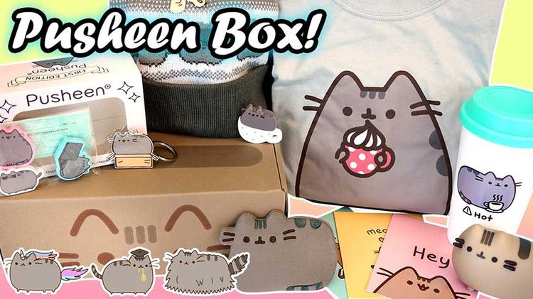 Gato Pusheen