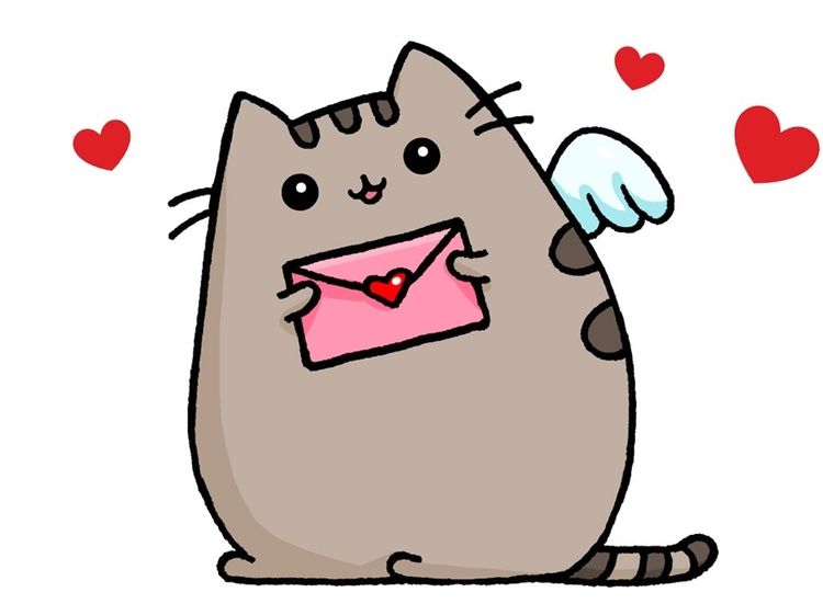 Gato Pushin: imágenes