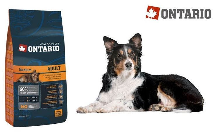 Pienso Ontario para razas medianas