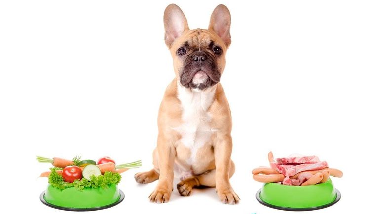 Alimentación adecuada para el perro