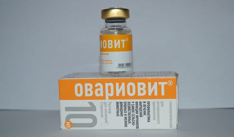 Ovariovit