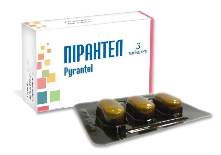 Pirantel para perros