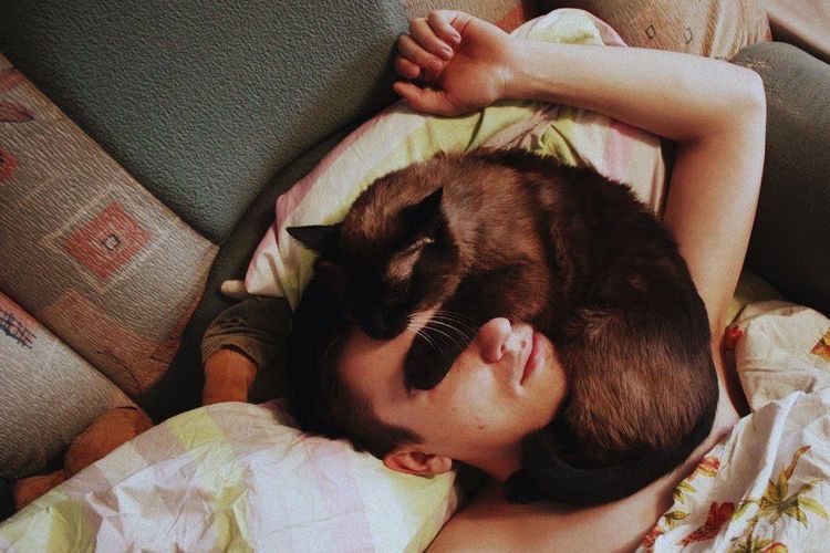 Gato durmiendo sobre la cabeza de la dueña