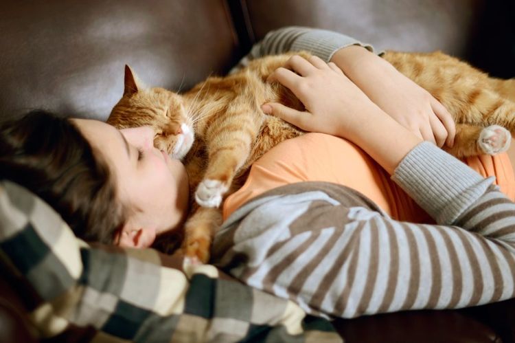 Gato durmiendo sobre la dueña