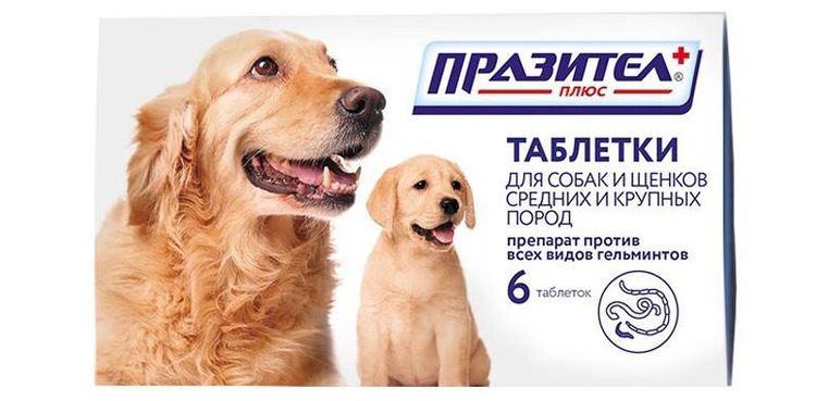 Prasitel Tabletten