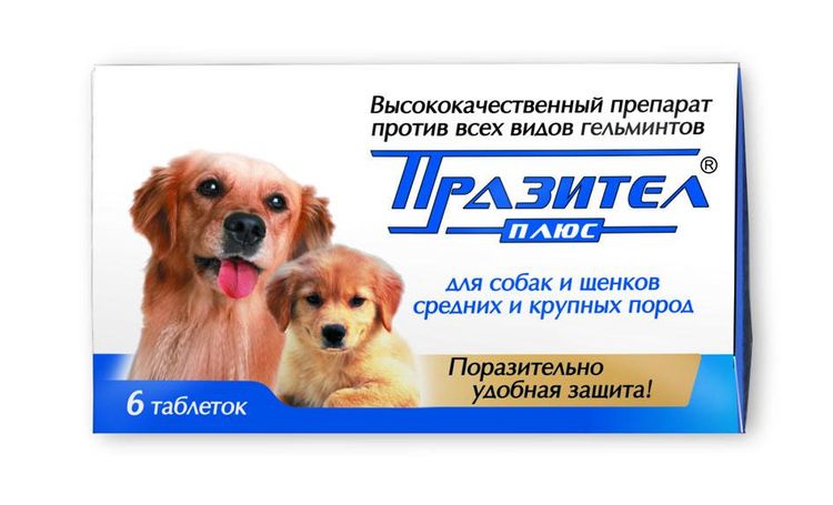 Prasitel Tabletten