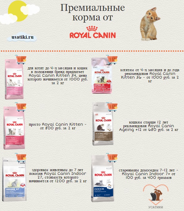 Los mejores alimentos Royal Canin para gatos