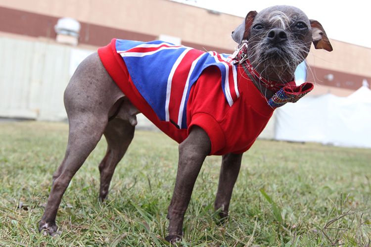 El perro feo Mugly