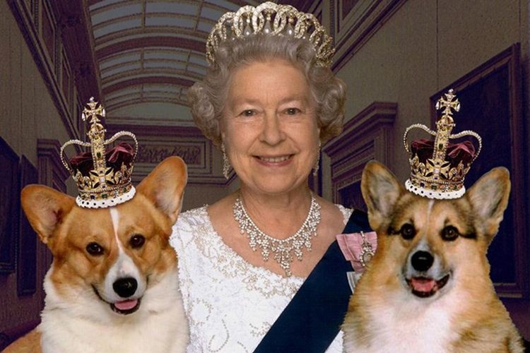 La reina de Inglaterra y sus perros
