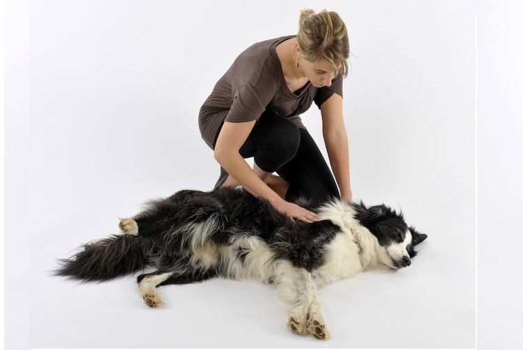 La dueña y su perro