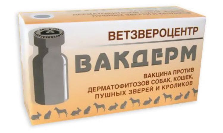 Vacuna Vakderm