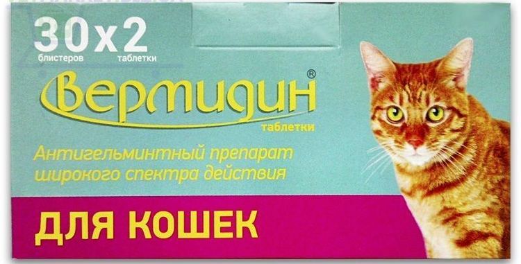 Vermidin para gatos