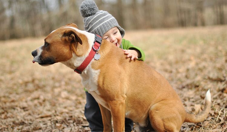 Hund und Kind
