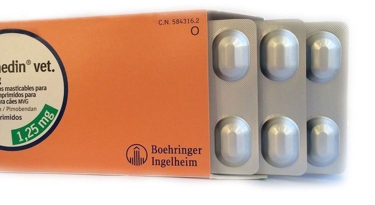 Vetmedin