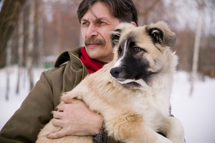 Cachorro en brazos de un hombre