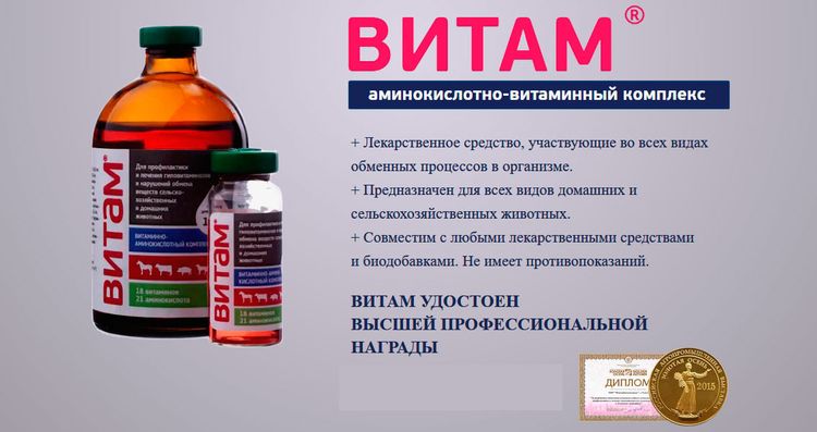 Vitam para perros