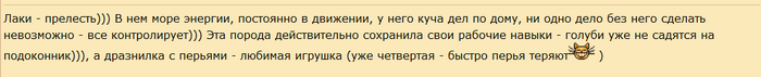 screenshot_2