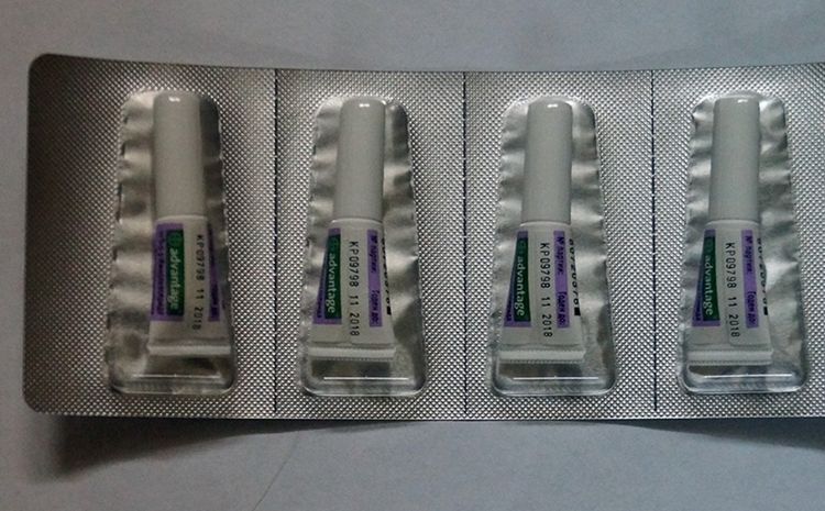 Pipetas Advantage