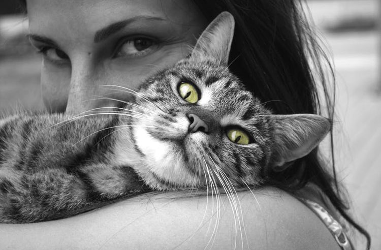 Gata al hombro de su dueña