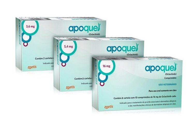 Apokvel para gatos