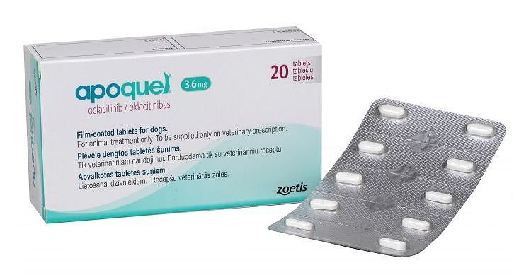 Apokvel para gatos