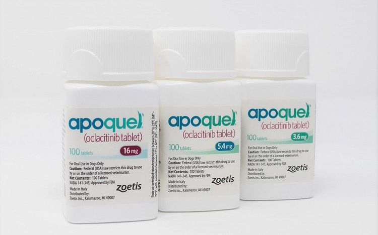 Apokvel para gatos