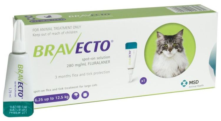 Bravecto para gatos