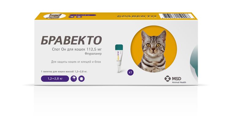 Bravecto para gatos