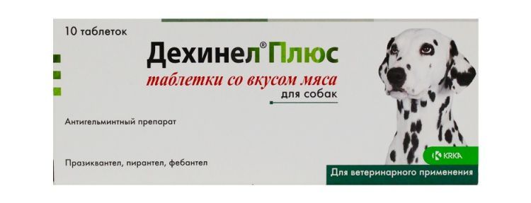 Dechinel plus für Hunde