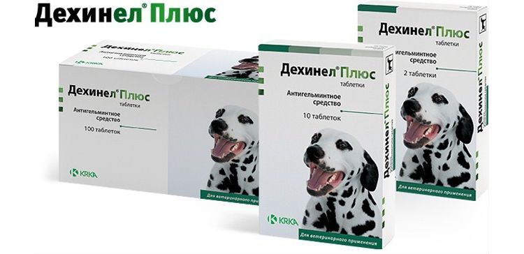 Dechinel plus für Hunde