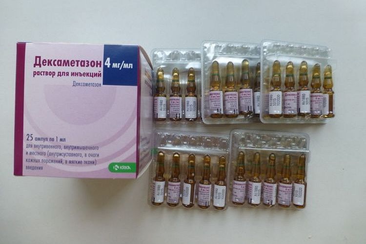 Dexamethason in Ampullen für Katzen