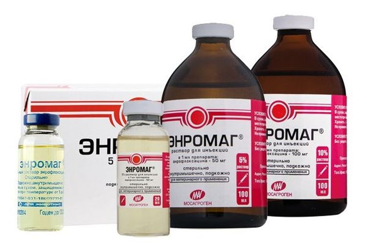Enromag para gatos