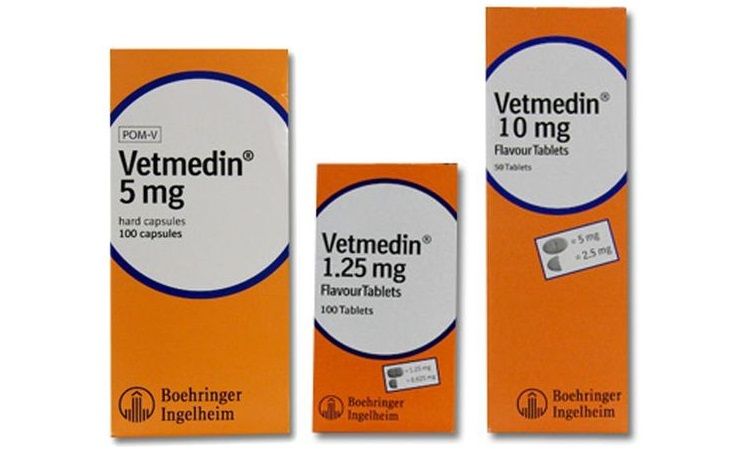 Vetmedin para perros
