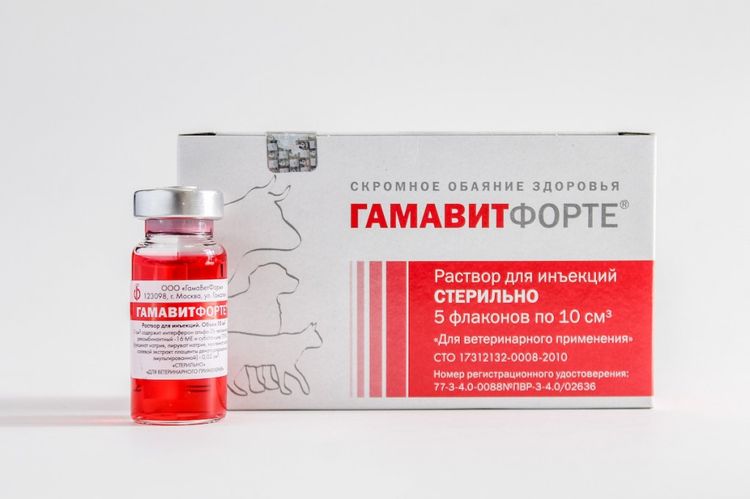 Gamavit Injektionslösung