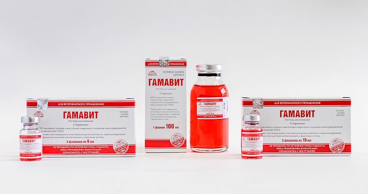 Gamavit für Katzen