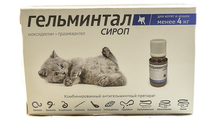 Jarabe Gelmintal para gatos