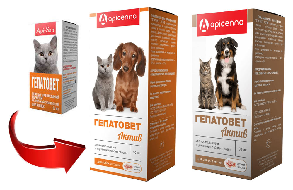 Gepatowet und Gepatowet Aktiv