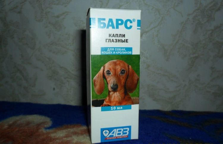 Gotas oftálmicas para perros Bars