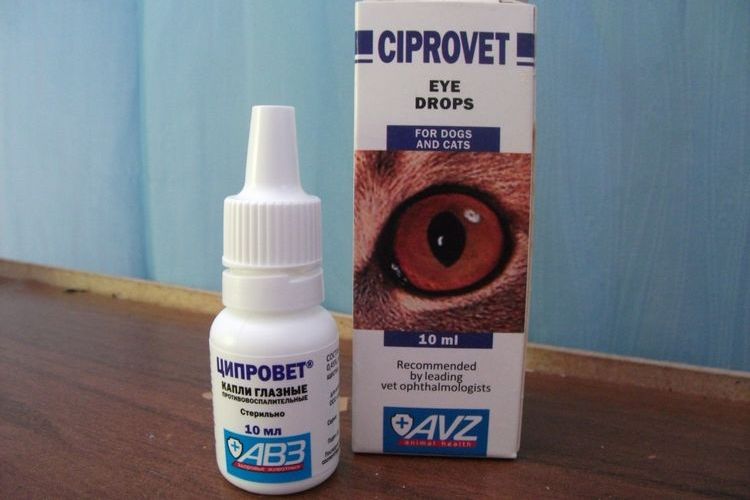 Gotas oftálmicas para perros Ciprovet