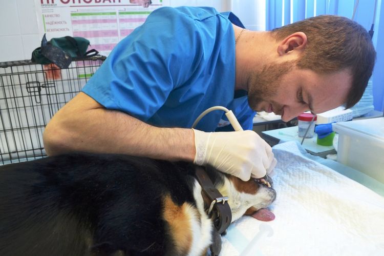Limpieza dental por ultrasonido