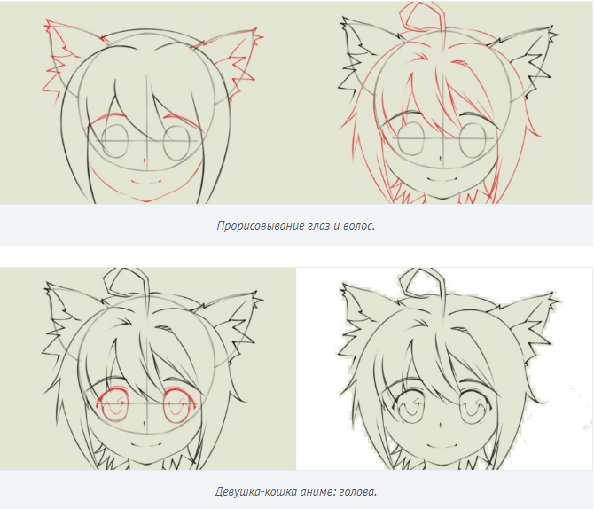 Gata anime